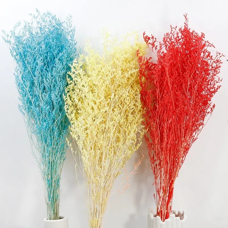 Bluejw Everlasting Colored Limonium Spray - Preserved Natural Statice Dried Flowers for Valentine's & Christmas, Dried Plants Decor - Image 4