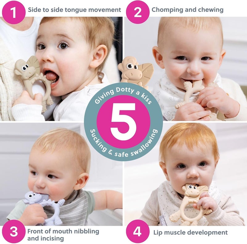 bibado Teething Toy : Dotty the Dinosaur™ Multi-Sensory Teether designed to strengthen and develop mouth muscles suitable for 3 Months and Above - Mist - Image 5