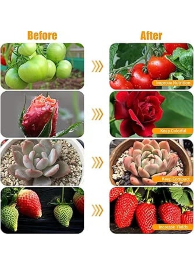 Dual LED Plant Grow Light with 360° Flexibility – Full Spectrum for Faster Growth and Better Health for Your Houseplants - Image 2