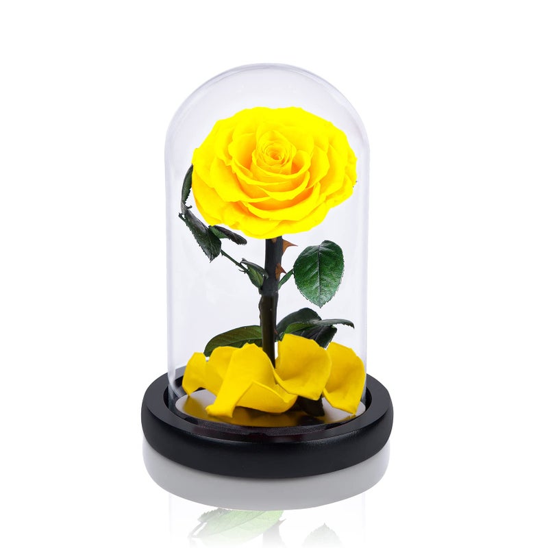 UFOREVER ROSES Handmade Preserved Roses in Glass Dome 