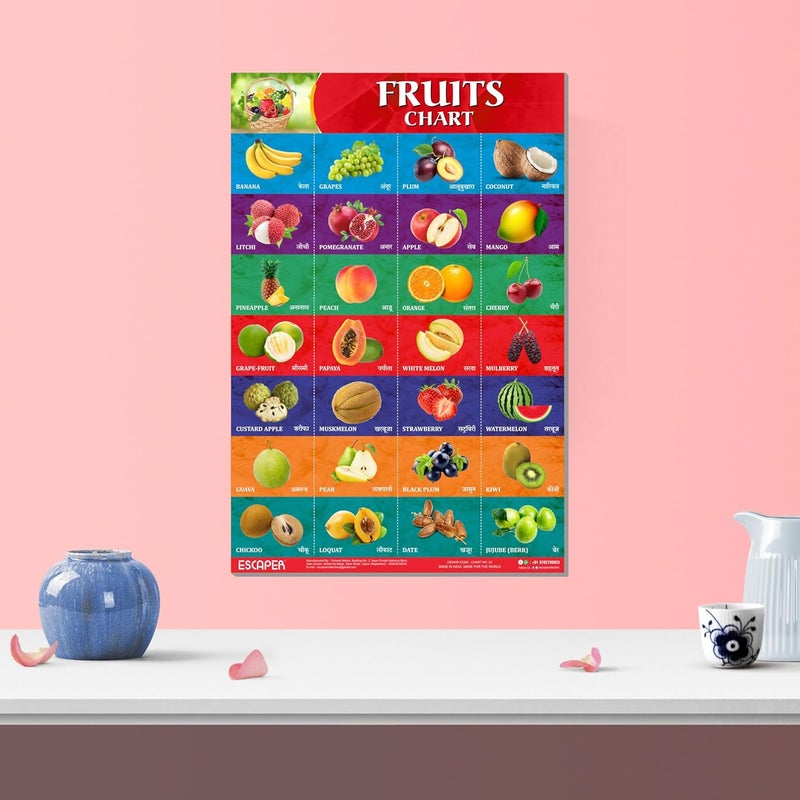 ESCAPER Fruits Educational Charts for Kids, Charts for Kids Learning (11.5 x 17.5 inches), Kids Study Material, Kids Learning Books, Educational Posters - Image 5
