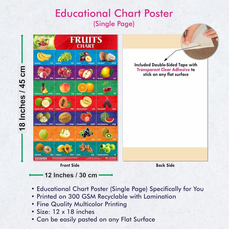 ESCAPER Fruits Educational Charts for Kids, Charts for Kids Learning (11.5 x 17.5 inches), Kids Study Material, Kids Learning Books, Educational Posters - Image 3