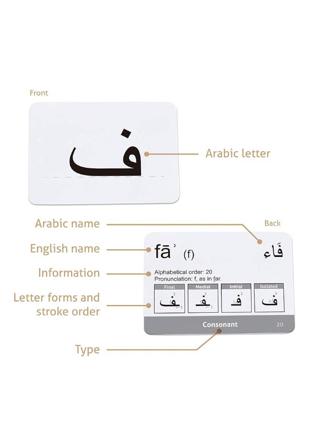 CARDDIA Arabic Alphabet Flash Cards (Including consonants, Vowels, diacritics and Numerals)  - Image 2