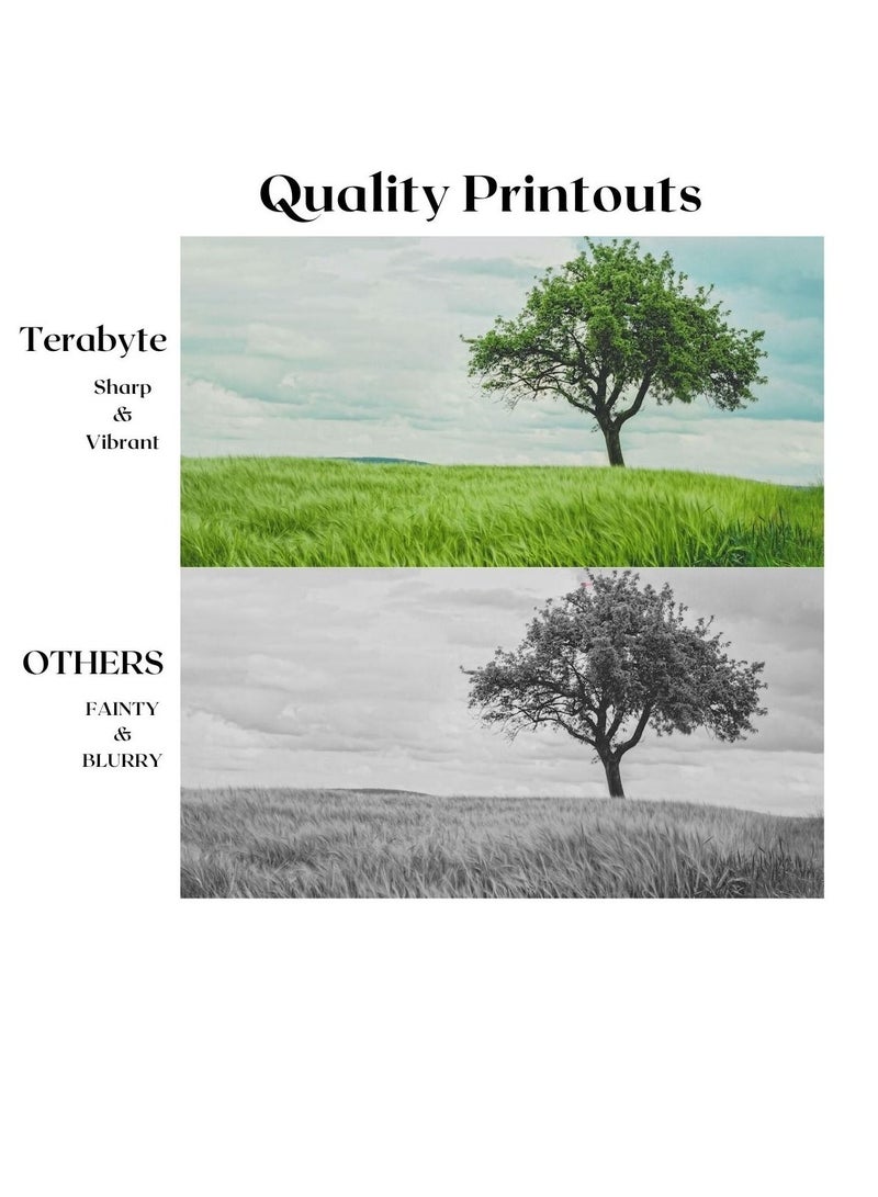 Terabyte CLT407S  SAMSUNG CYAN COMPATIBLE TONER TERABYTE - Image 2