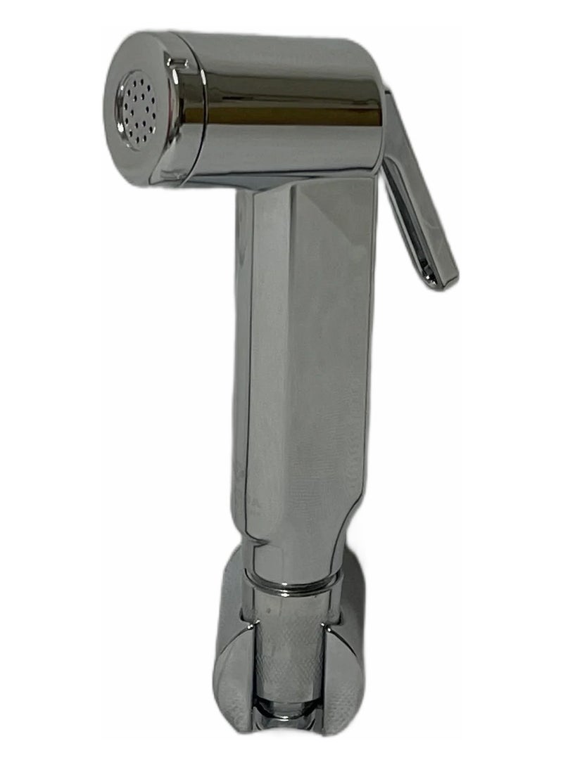 شطاف يدوي للمرحاض مع خرطوم وخطاف فضي - Image 1