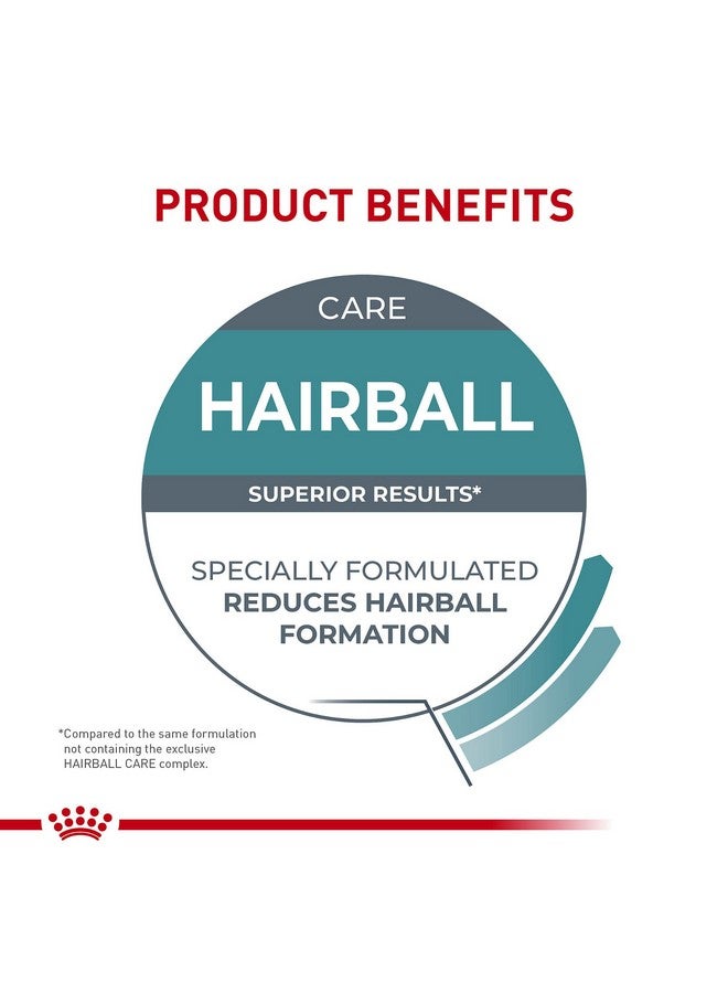رويال كانين طعام القطط الجاف Hairball Care، كيس 6 رطل - Image 5