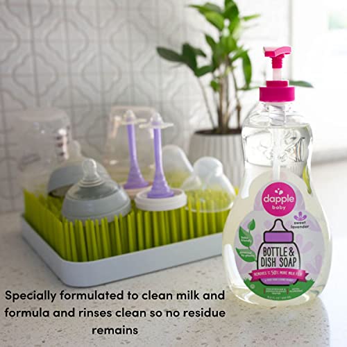 dapple صابون زجاجات الأطفال من دابل، صابون أطباق مضاد للحساسية لزجاجات الأطفال، مدعوم بالنباتات، لافندر، 16.9 أونصة سائلة (عبوة من 3) - Image 4