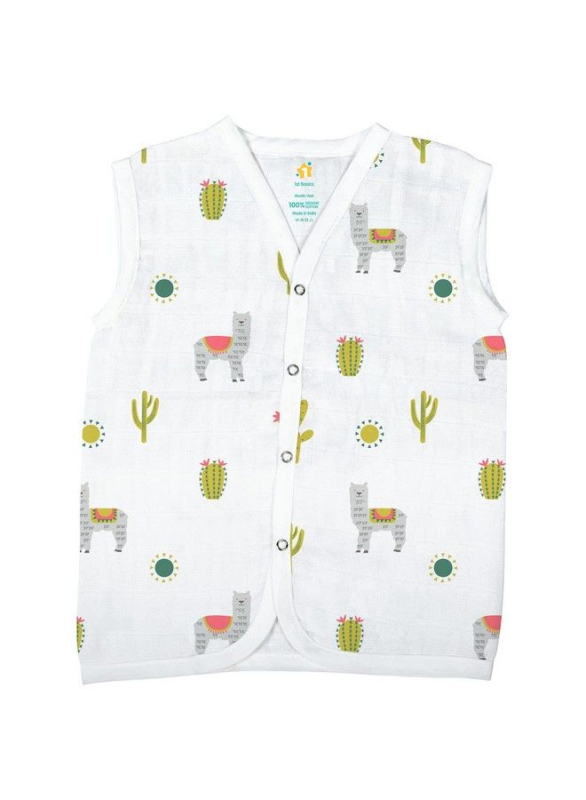 1st Step Button Type 100% Organic Muslin Jhabla (Medium (36 Months) Multicolor 1)  - Image 5