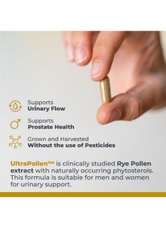 Premier Research Labs UltraPollen - Bee Pollen Supplement, Rye Pollen Extract, Prostate Health, Bee Pollen Extract from Rye Flower with Amino Acids, Supplement for Men & Women- 45 Vegetarian Capsules - pzsku/Z9B8ABE3B31D745BD4E02Z/45/_/1735908082/3e8ccd31-ed9b-4ef1-b162-96bbe1d6f2cf