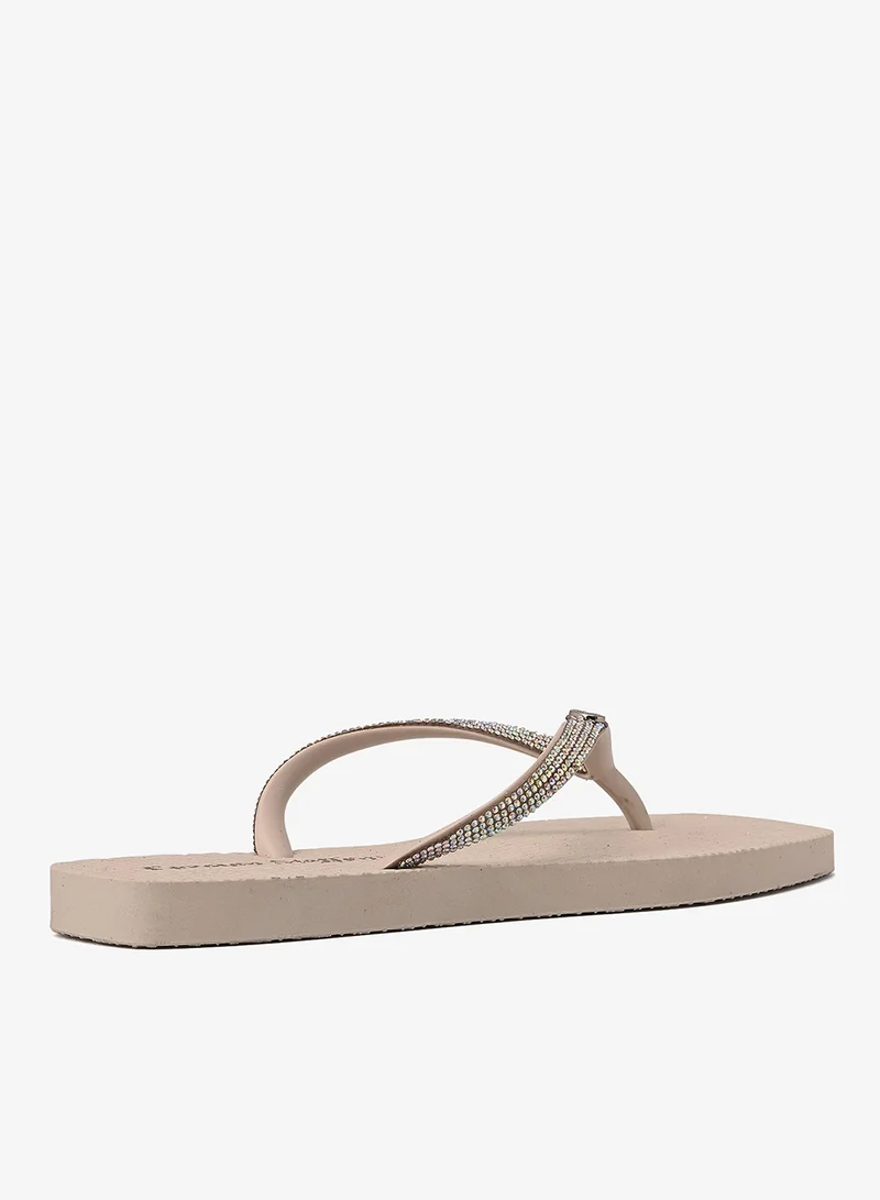 Carmen Steffens  Flip-Flops Off-White for Women | Best Price UAE