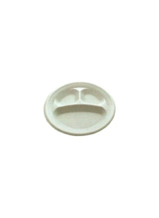 10-Inch Foam Plate with 3 Portions, Pack of 25 (20 Packets) - pzsku/Z9B8CD820DE4971B86FA3Z/45/_/1730964371/cee207fb-ac0c-4f57-8750-5b7565a1b720