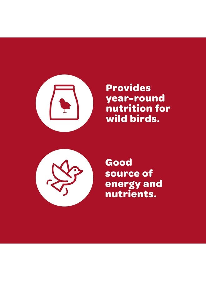 Kaytee All American Wild Bird Food Seed Blend, 5 Pound - Image 4