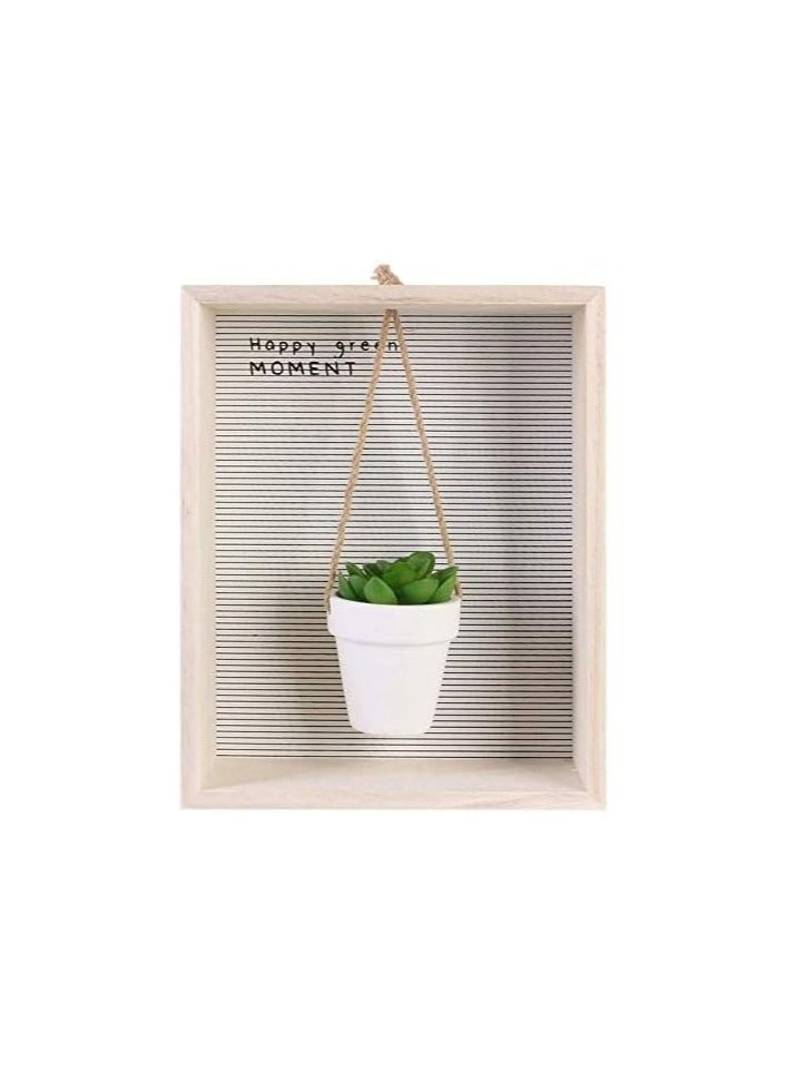 Generic Home Deco  Factory Decorative Wall Frame Shelf Unit With Succulent Greenery For Indoor Decor Hanging Plant  - Image 2