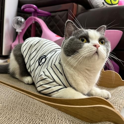 Wiz BBQT Matching Dog and Owner Clothes,Striped Dog Shirts for Small Medium Large Dogs Cats,Mama and Pet Shirts are Sold Separately(for Pets,Pet-White,Pet S-Bust 14.2") - Image 4