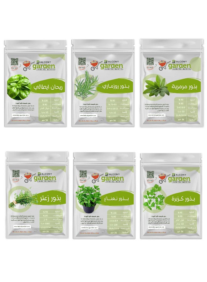 Aromatic Herb Seed Collection from Balcony Garden (Basil, Rosemary, Mint, Thyme, Sage, Coriander) - 6 Varieties