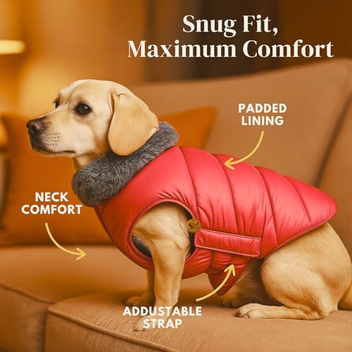 Sage Square Dog Jacket Winter Coat with Fur Collar, Light Weight, Ultra Warm Windproof, Waterproof Dog/Puppy Jacket for Cold Weather, Thicker Fleece (Red, Small - 12inch) - Image 5