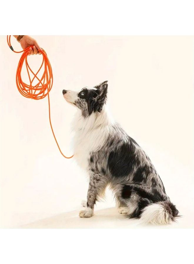 مقود كلب أحمر XL مضاد للتشابك، حبل أمان ممتص للصدمات للمشي والتدريب لجميع السلالات - Image 4