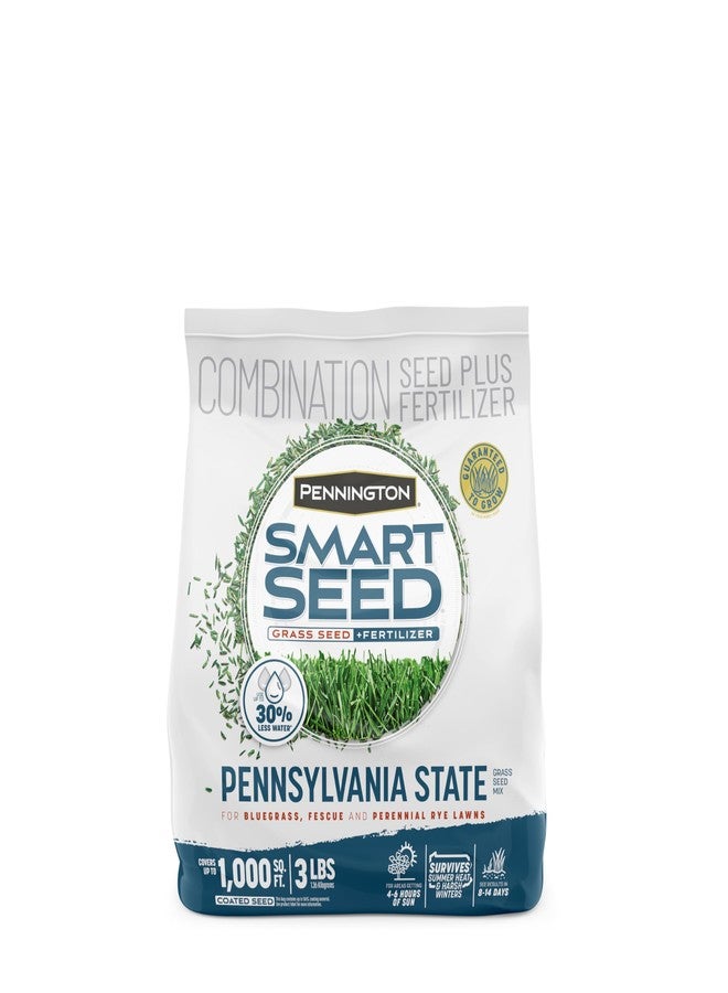 Pennington PENN SEED MIX 3 LB BAG - Image 1