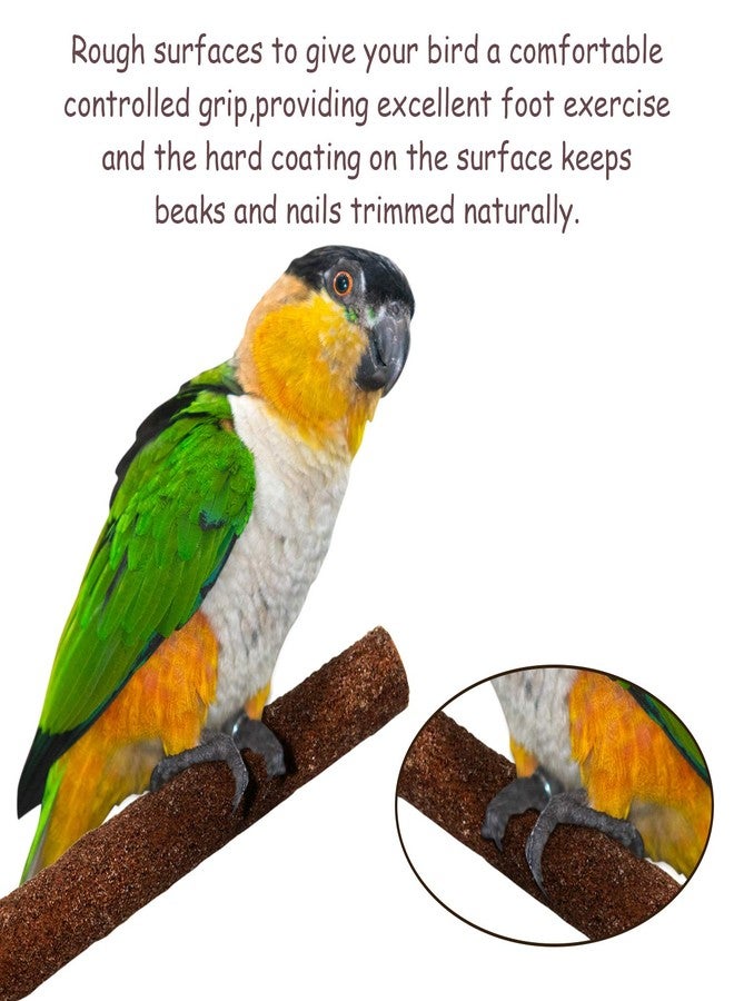 Bac-kitchen 6 Pcs Bird Perch Stand Toy, Wood Parrot Stand Platform Colorful Sand Paw Grinding Stick Cage Accessories Exercise Toys for Cockatiel Conure Budgies Parakeet Lovebird Hamster Gerbil Rat Mouse (6 Pcs) - Image 3