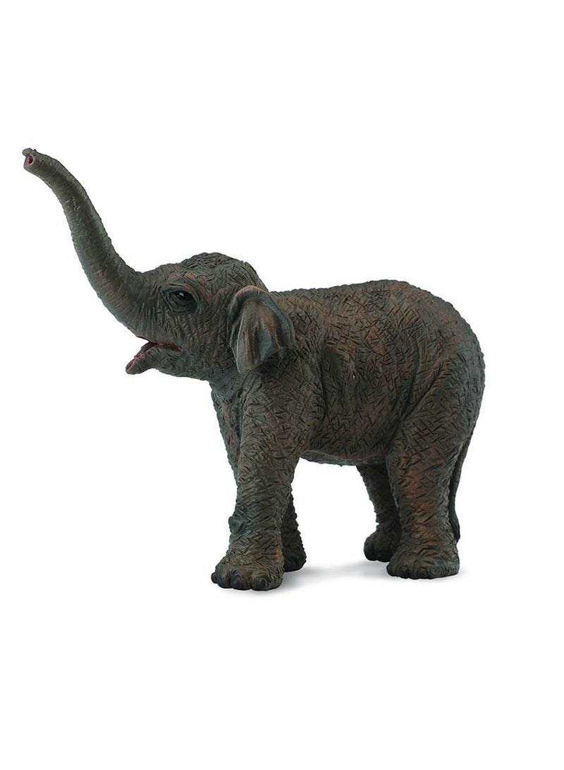 Collecta - Asian Elephant Calf - 88487