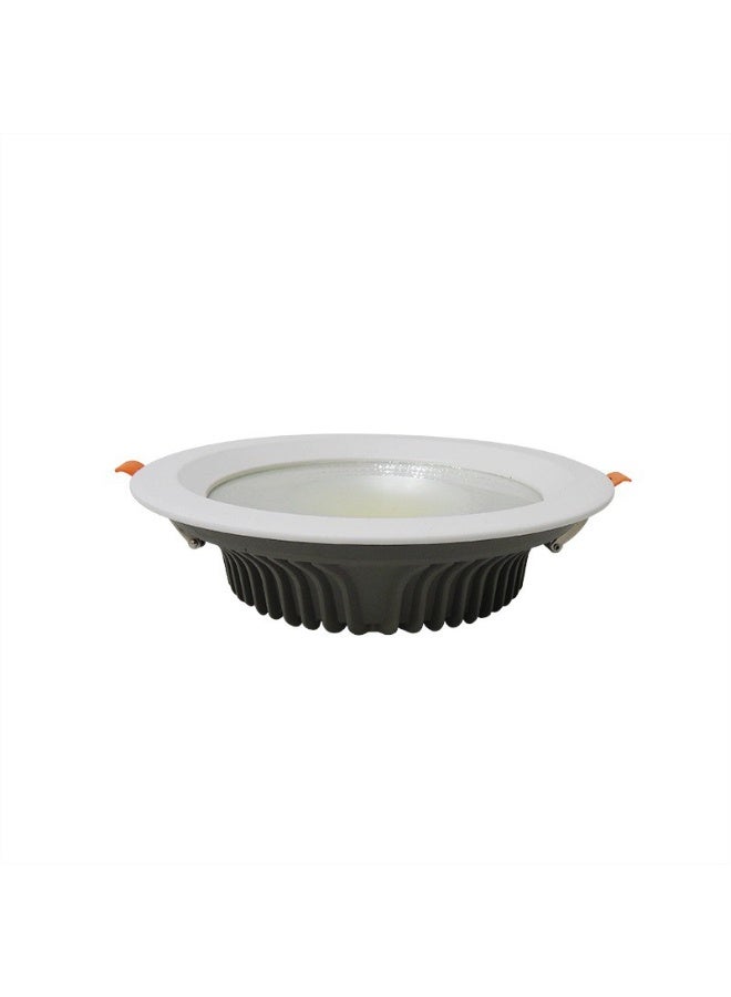 GREEN LIGHT COB DOWNLIGHT 20W - Image 1