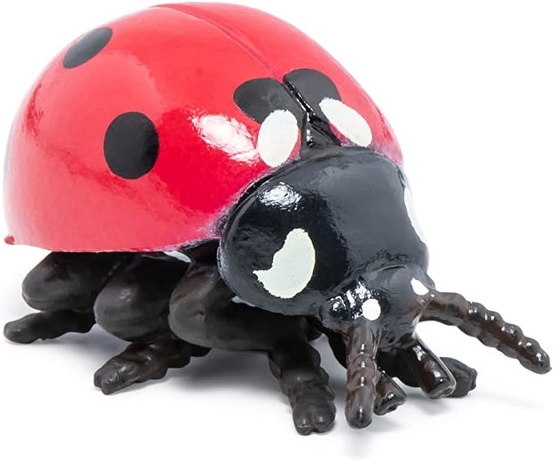 Papo handpainted  figurine Wild animal kingdom  Ladybug 50257 Collectible  For Children  Suitable for Boys and Girls From 3 years old - Image 4