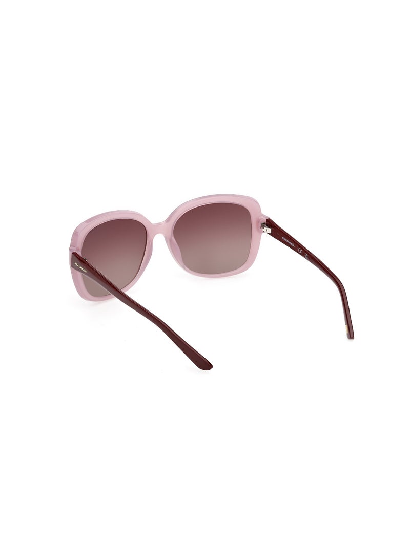 SKECHERS Plastic Rectangular Full Rim Women Polarized Sunglass - Image 5