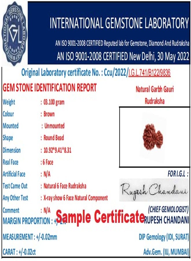 IRIS GEMS Gauri Ganesh Rudraksha with Silver Capping गर्भ गौरी रुद्राक्ष 10 Mukhi Nepal Garbh Gauri Rudraksha Original Certified by Igl गौरी गणेश रुद्राक्ष Natural Garbh Gauri Rudraksh for Women - Image 4