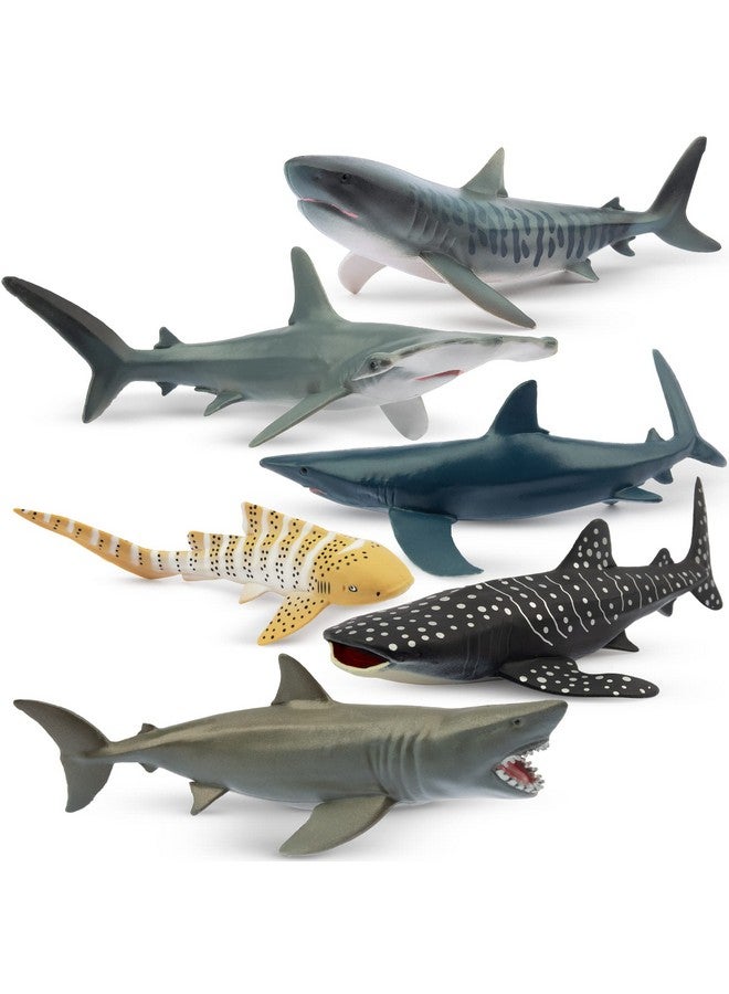 Toymany 6PC Realistic Shark Figurines Set - 5-6" Ocean Animals Bath Toys, Cake Toppers, Gifts for Kids & Toddlers - Image 1
