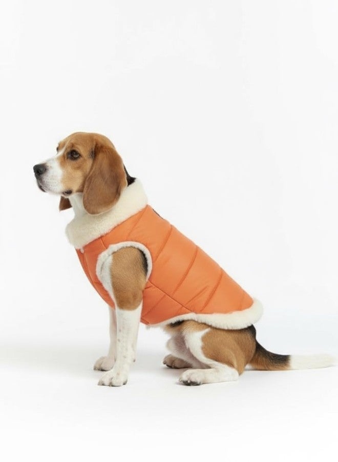 Furrieszz Orange Dog Jacket with Furry Inner Lining & Zipper – Warm Winter Wear for Pets, Fits Labrador, Golden Retriever, Indie Dog, German Shepherd Puppy (Size: 24" Back, Chest: 75–80 cm) - Image 5