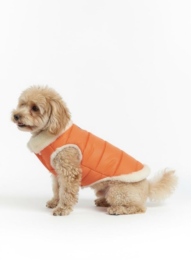Furrieszz Orange Dog Jacket with Furry Inner Lining & Zipper – Warm Winter Wear for Pets, Fits Labrador, Golden Retriever, Indie Dog, German Shepherd Puppy (Size: 24" Back, Chest: 75–80 cm) - Image 3
