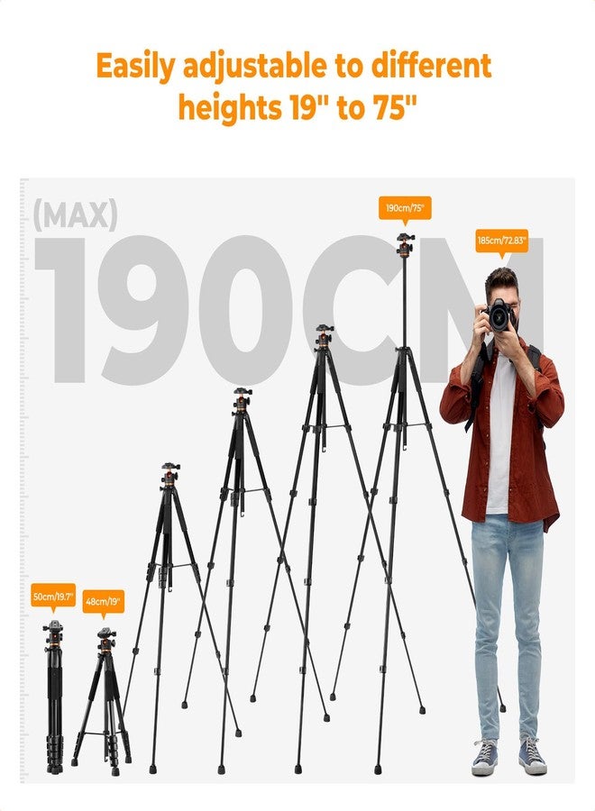 كيه آند إف كونسبت حامل ثلاثي القوائم للكاميرا من K&F CONCEPT بطول 75 بوصة/190 سم. - Image 5