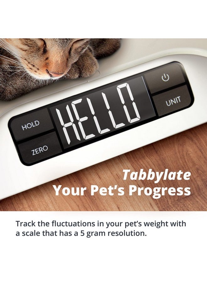 Greater Goods - Digital Pet Scale, Accurately Weigh Your Kitten, Rabbit, Or Puppy With A Wiggle-Proof Algorithm, Great Option As A Scale For Small Animals, Designed In St. Louis - Image 1