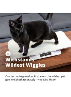 Digital Pet Scale, Accurately Weigh Your Kitten, Rabbit, Or Puppy With A Wiggle-Proof Algorithm, Great Option As A Scale For Small Animals, Designed In St. Louis