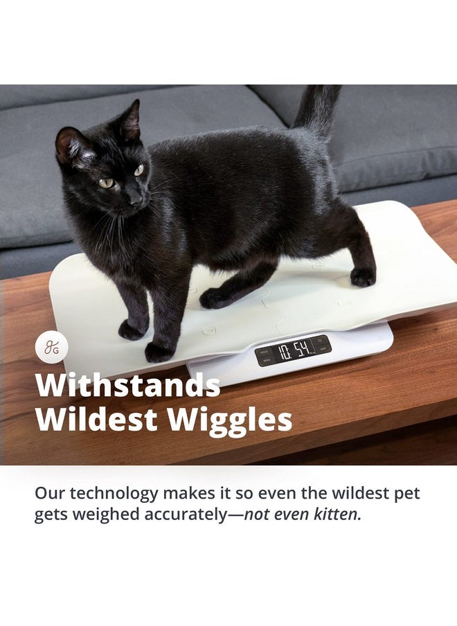 Greater Goods - Digital Pet Scale, Accurately Weigh Your Kitten, Rabbit, Or Puppy With A Wiggle-Proof Algorithm, Great Option As A Scale For Small Animals, Designed In St. Louis - Image 1