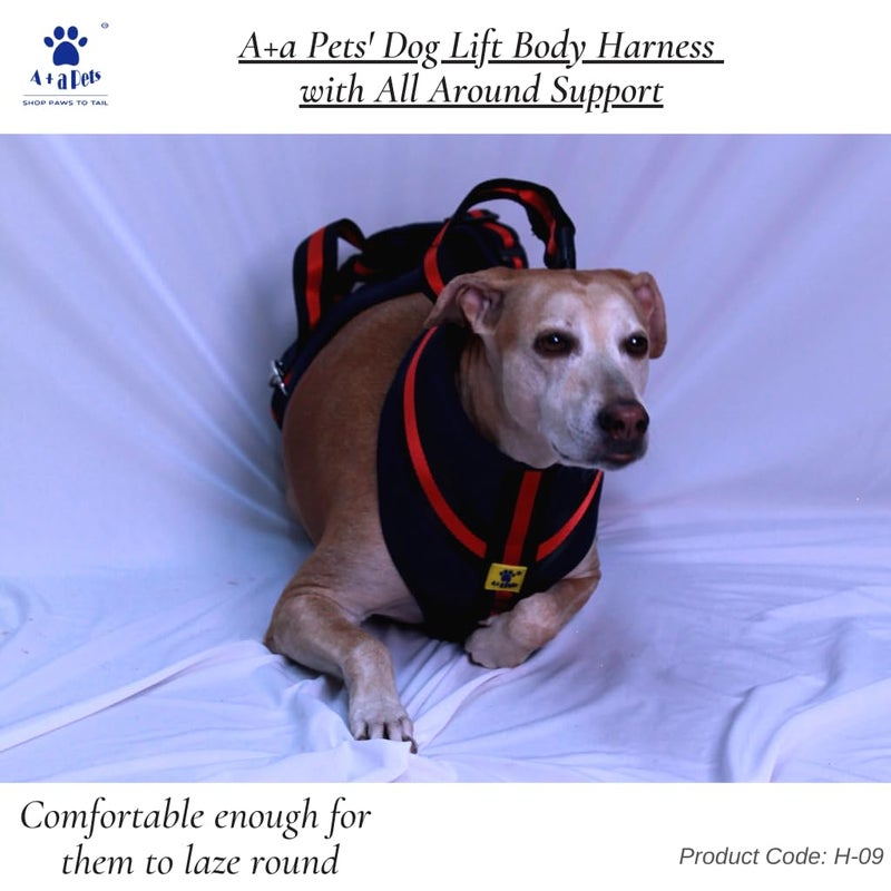 A+a Pets 'Dog Lift Full Body Support Harness (XL-2XL) - Image 5