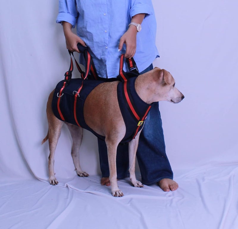 A+a Pets 'Dog Lift Full Body Support Harness (XL-2XL) - Image 2