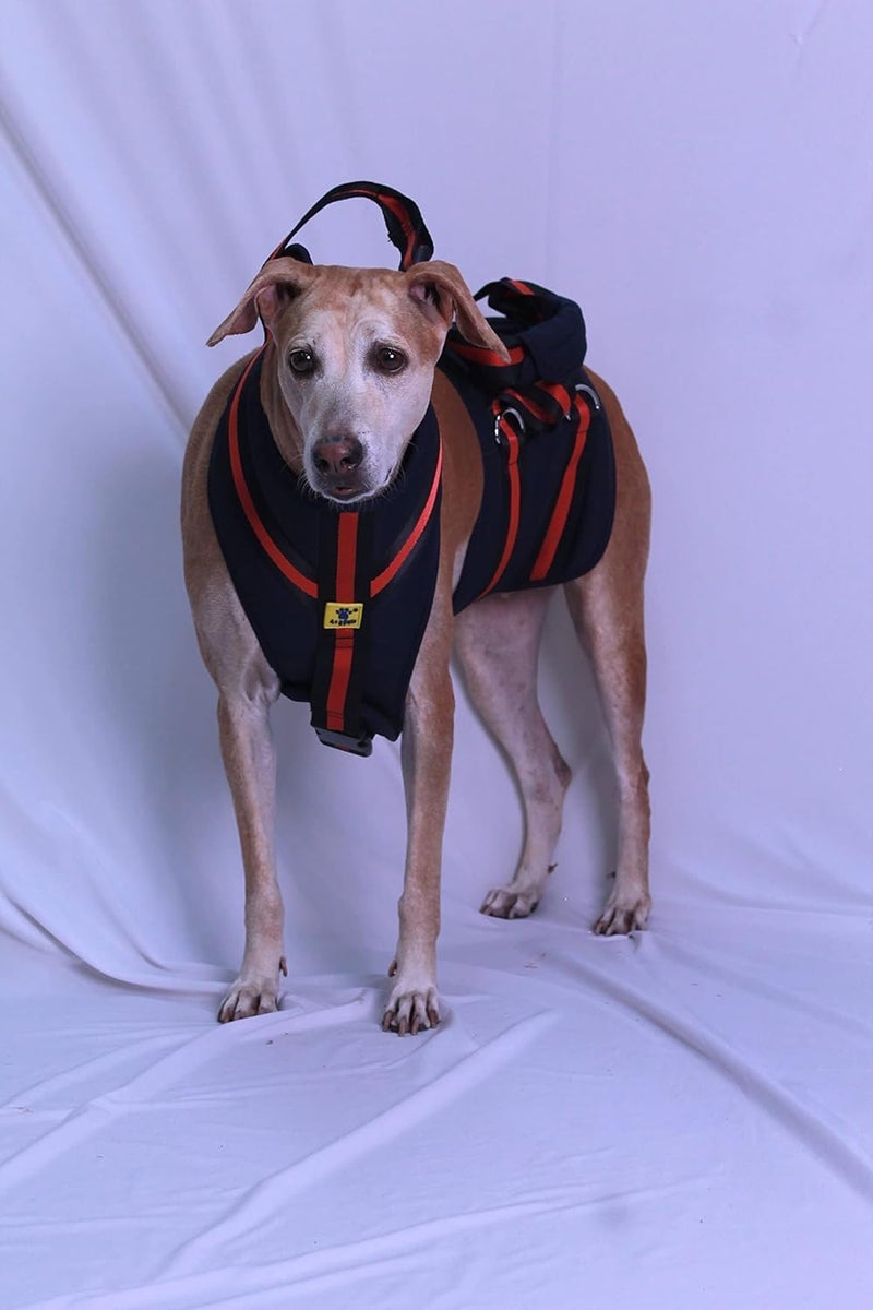 A+a Pets 'Dog Lift Full Body Support Harness (XL-2XL) - Image 1