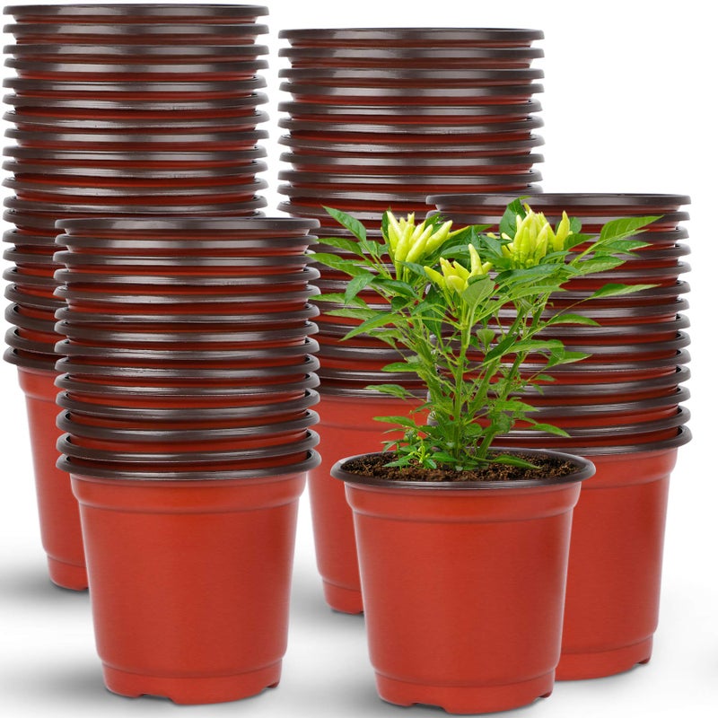 Augshy 150 Pcs 4 Plastic Plants Nursery Pot Seed Starting Pots for Succulent Seedling Cutting Transplanting