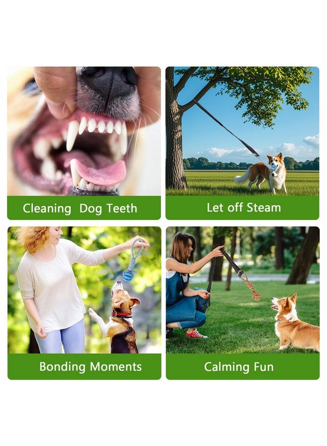 لعبة شد الحبل التفاعلية للكلاب مع 4 قطع، لعبة بانجي للكلاب في الهواء الطلق، معلقة على شجرة، حبل لعب تفاعلي للتمرين، للكلاب الصغيرة/المتوسطة ذات عادات المضغ العدوانية، ألعاب حبل للكلاب - Image 4