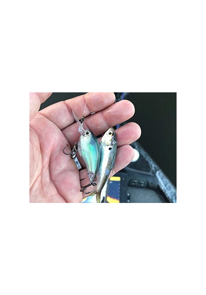 Yo-Zuri R1304-RRT 3Dr Popper, Real Rainbow Trout, 65mm (2-5/8") - Image 2