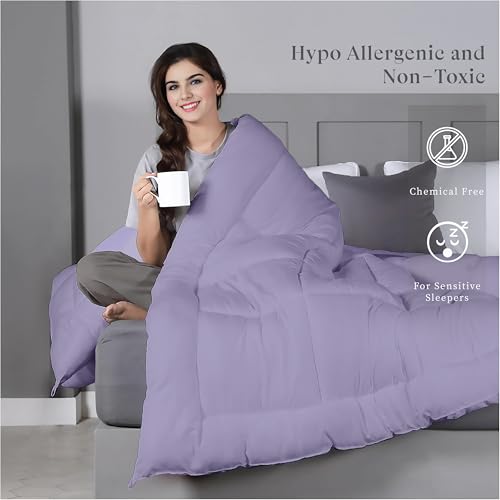 bien LIVING Plush Reversible Microfiber Comforter Double Bed | 220 GSM Wadding |110 GSM Peached Extra Soft Microfiber Fabric,All Weather Comforter Double Bed (90 X 100 Inches)(Ash Grey + Wisteria) - Image 2