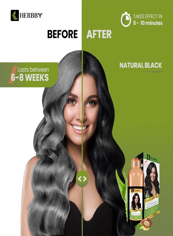 HERBBY Hair Color Shampoo for Gray Hair Coverage&Color Transform with 9 Herbal Extracts -Long Lasting(6-8 Weeks),Shiny,Evenly Colored,Instant Hair Dye Shampoo&Conditioner,500 Ml (NATURAL BLACK COLOR) - Image 2