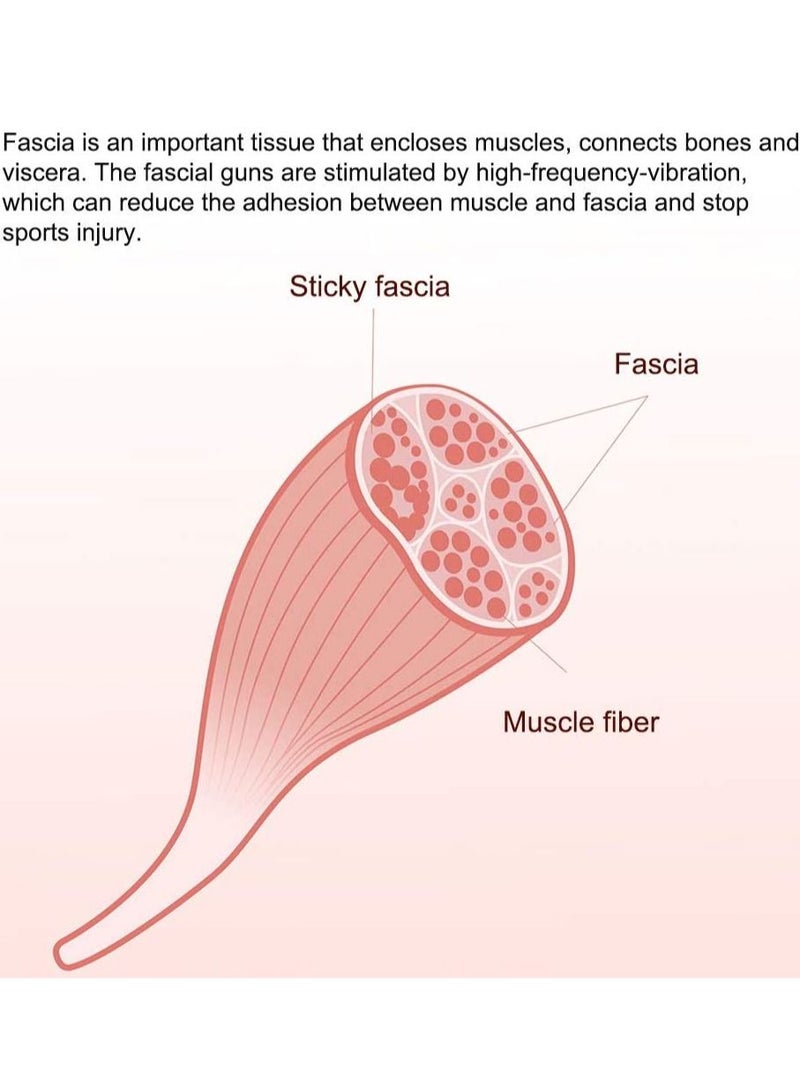 24V Electric Muscle Massager Portable Percussive Vibrating Powerful Massage Guns Handheld Deep Tissue Muscle Massager for Neck Back Shoulders Foot Leg - Image 5