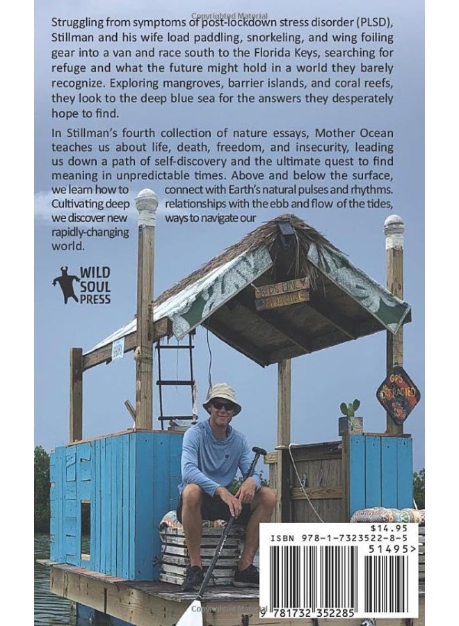 Oceans Of My Mind: A Quest For Meaning In Unpredictable Times  - Image 2