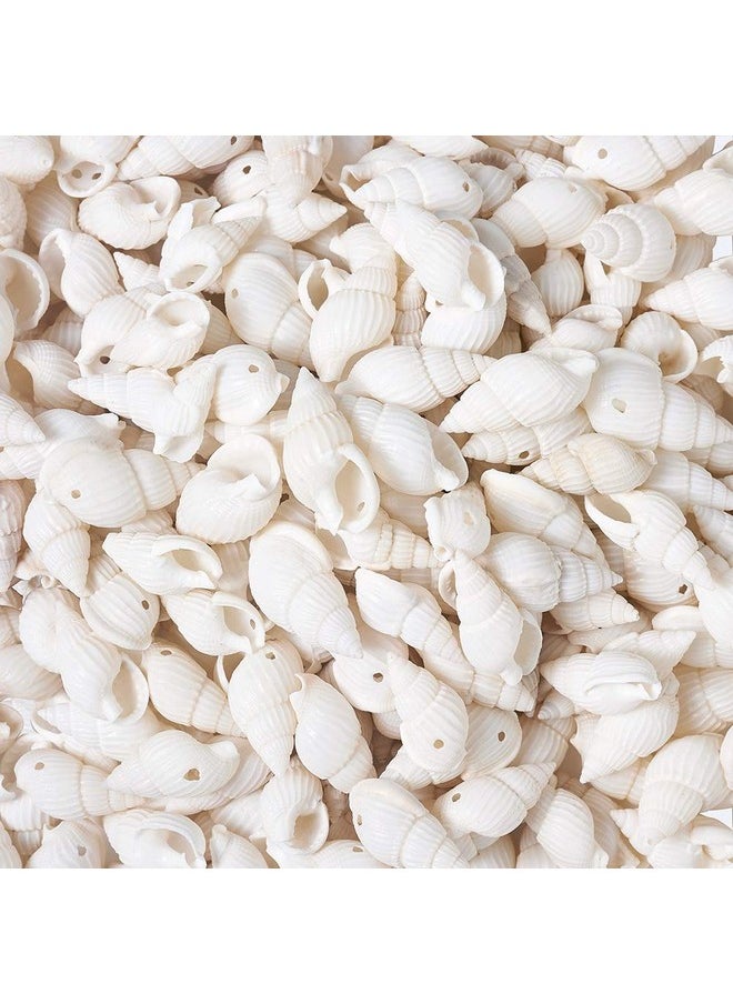 KISSITTY - About 300Pcs Natural Beach Sea Shell Beads With Holes 1Mm Length 16 25Mm Trumpet Spiral Seashells For Diy Craft Jewelry Making Wedding Party Home Decor - Image 1