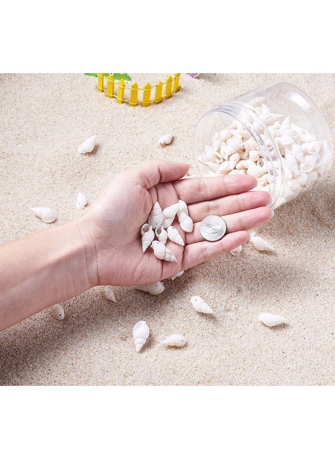 KISSITTY - About 300Pcs Natural Beach Sea Shell Beads With Holes 1Mm Length 16 25Mm Trumpet Spiral Seashells For Diy Craft Jewelry Making Wedding Party Home Decor - Image 1