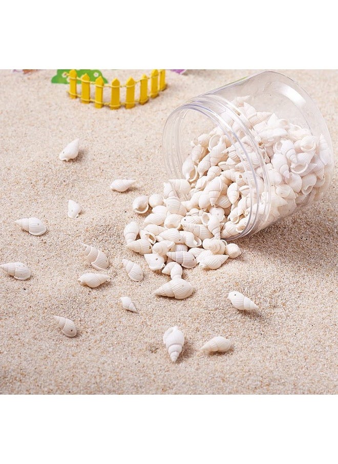 KISSITTY - About 300Pcs Natural Beach Sea Shell Beads With Holes 1Mm Length 16 25Mm Trumpet Spiral Seashells For Diy Craft Jewelry Making Wedding Party Home Decor - Image 1
