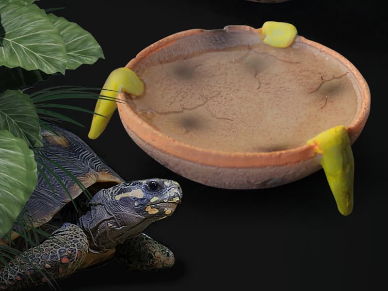 Food/Water Dish for Reptiles, Amphibians and Other Little Critters Water/Food Bowl, Made from Premium Resin (Orange-Brown Bowl) - Image 4