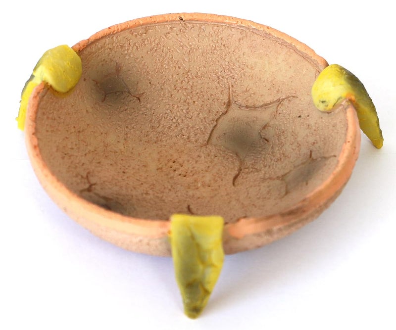 Food/Water Dish for Reptiles, Amphibians and Other Little Critters Water/Food Bowl, Made from Premium Resin (Orange-Brown Bowl) - Image 1